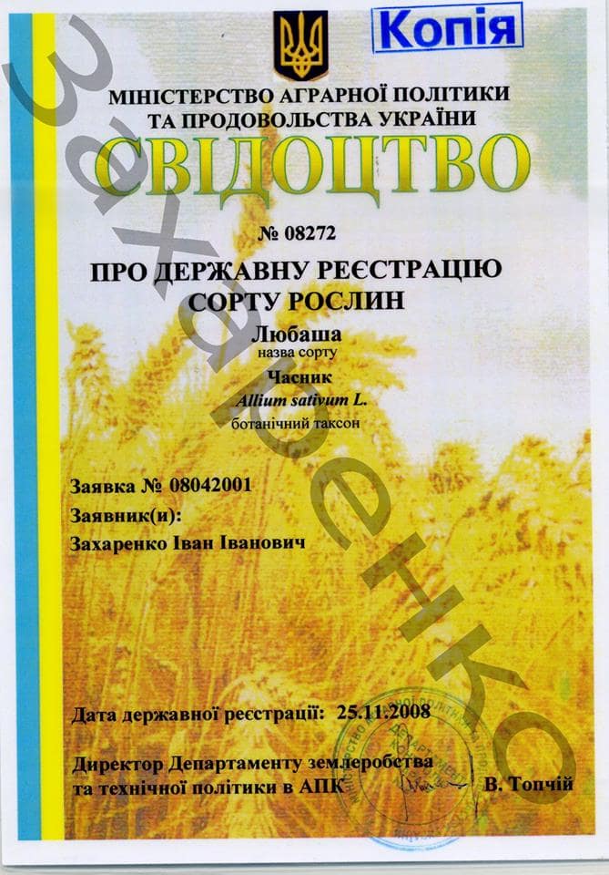 Заголовок