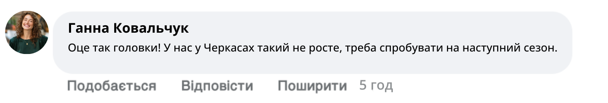 Заголовок