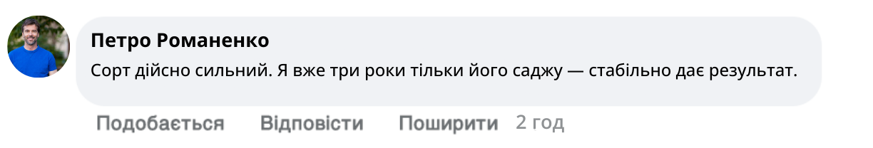 Заголовок