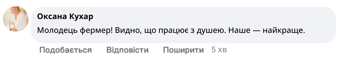 Заголовок
