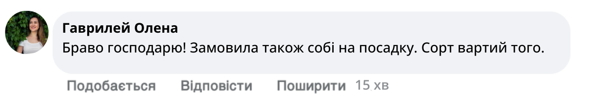 Заголовок