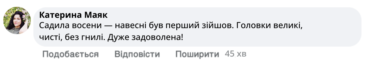 Заголовок
