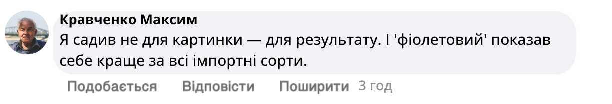 Заголовок